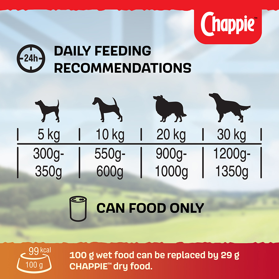 Chappie Adult Wet Dog Food Favourites Pets