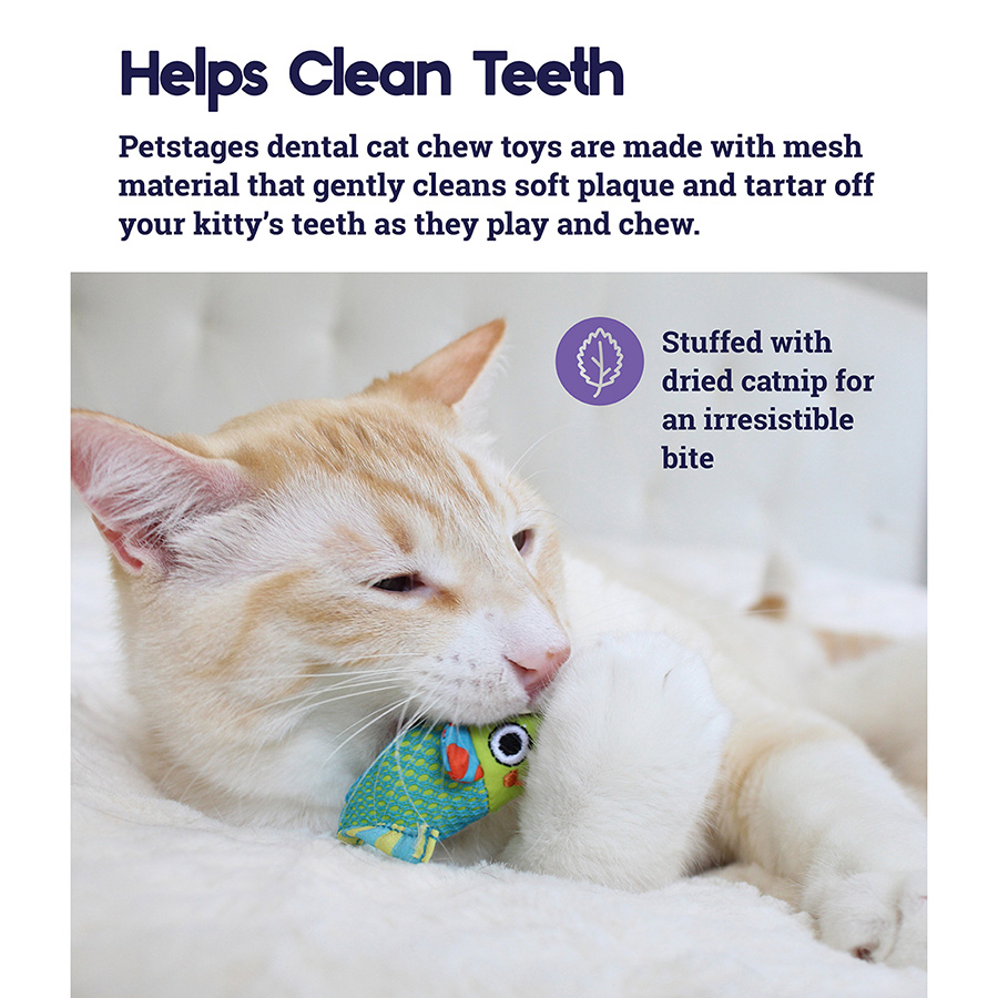 Dental cat toys best sale