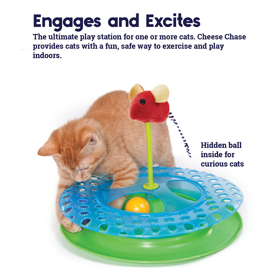 Petstages Cheese Chase Interactive Cat Toy