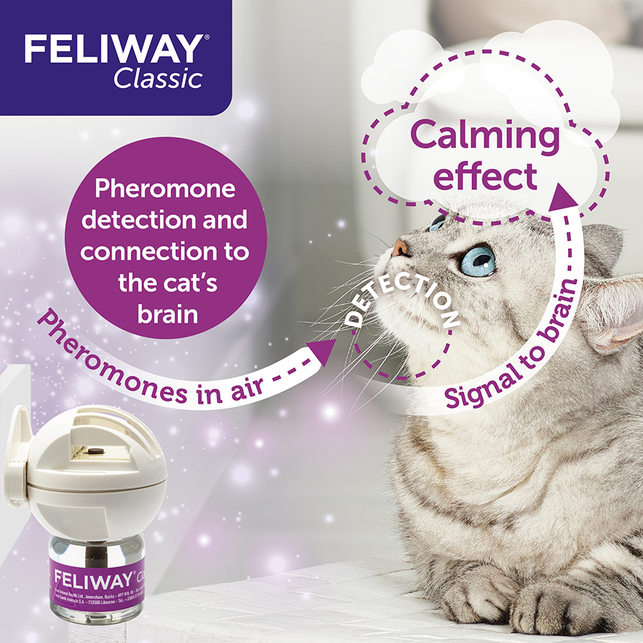 Feliway Classic Calming Pheromone Spray for Cats Pets