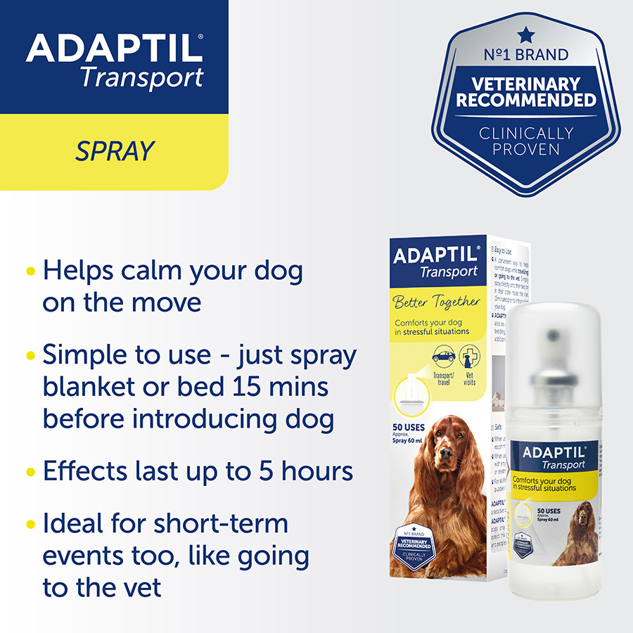 Anti anxiety spray for dogs hotsell