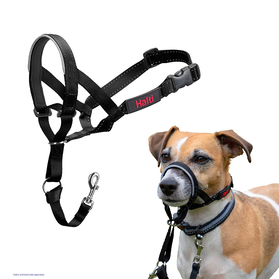 Halti Dog Headcollar Black Pets