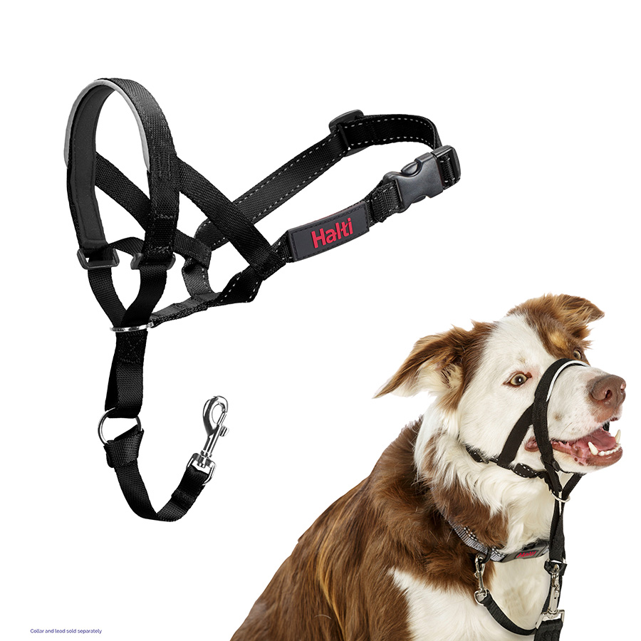 Halti Dog Headcollar Black Pets