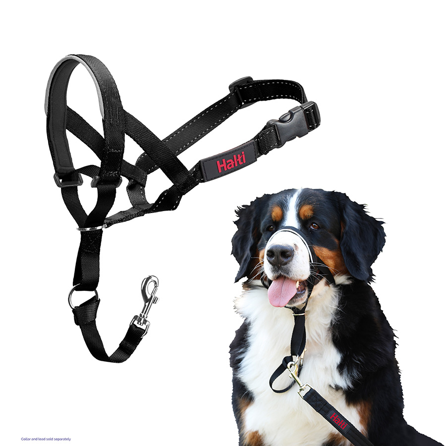 Halti Dog Headcollar Black Pets