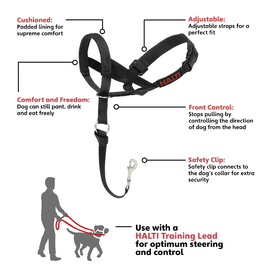 Fitting halti head collar hotsell