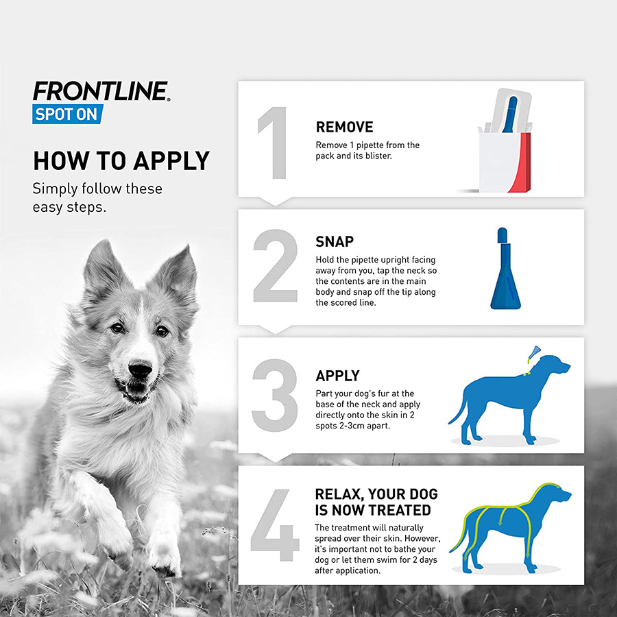 Frontline flea and tick for small dogs best sale