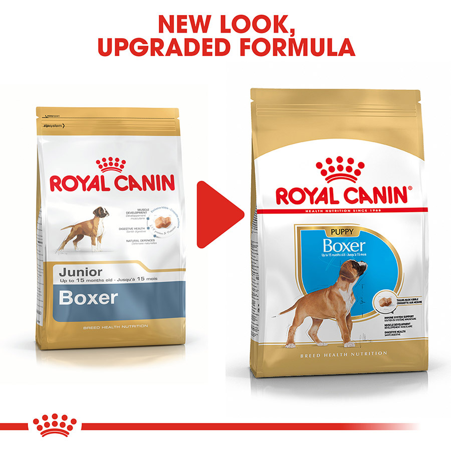 Best food for boxer puppy best sale