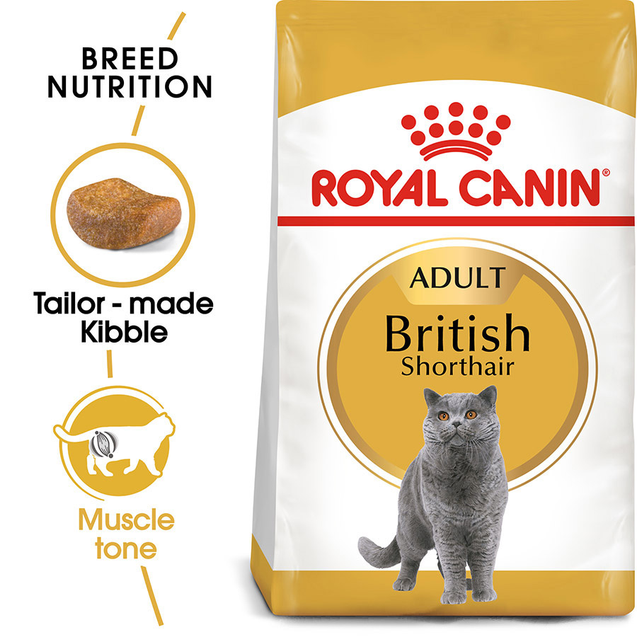 Royal Canin British Shorthair Adult Dry Cat Food Pets