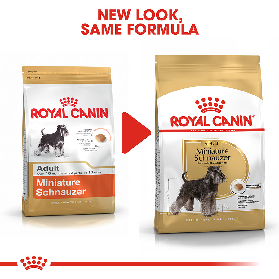 Royal Canin Miniature Schnauzer Adult Dry Dog Food Pets