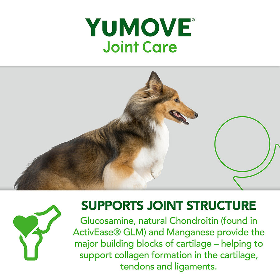 You move joint supplement for dogs hotsell