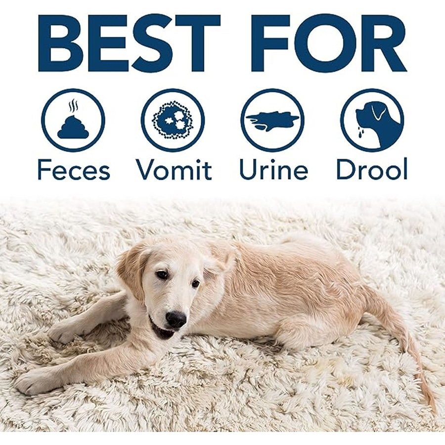 Simple Solution Stain Odour Remover for Dogs Pets