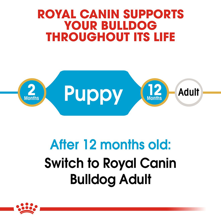 Royal Canin Bulldog Puppy Dry Dog Food Pets