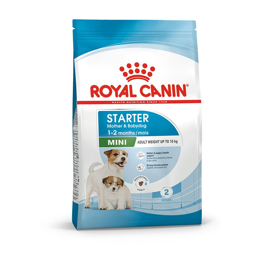 How to feed royal canin starter hotsell