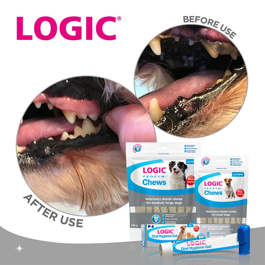 thumbnail image 2 of Orozyme Dental Care Gel 70 G - Enzyme Toothpaste For Dogs And Cats With Malt Flavour 2 of 13