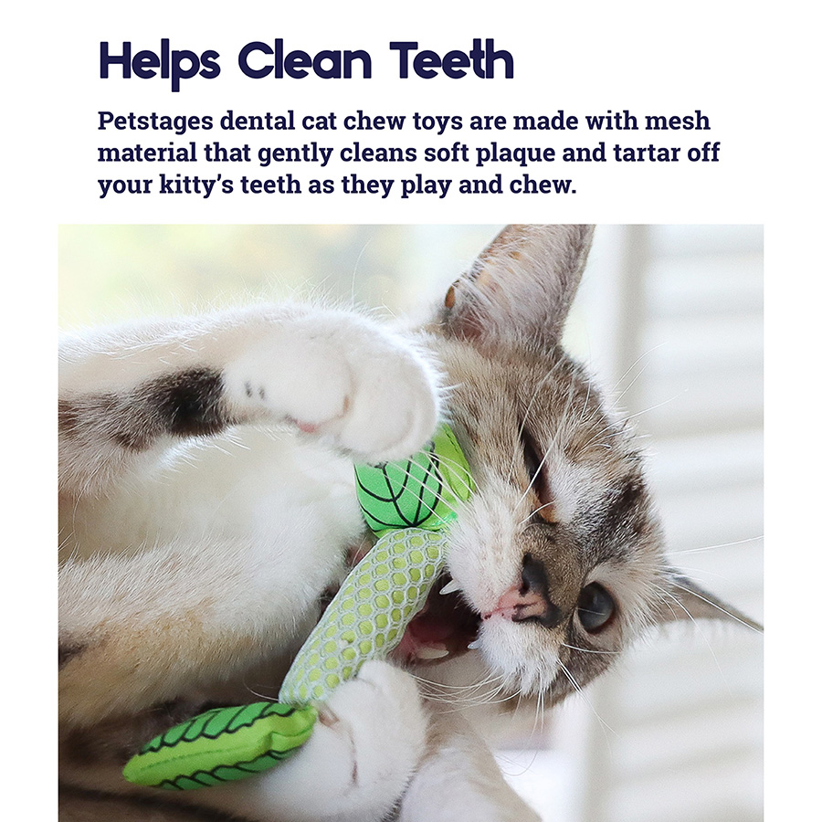 Cat chews for teeth best sale