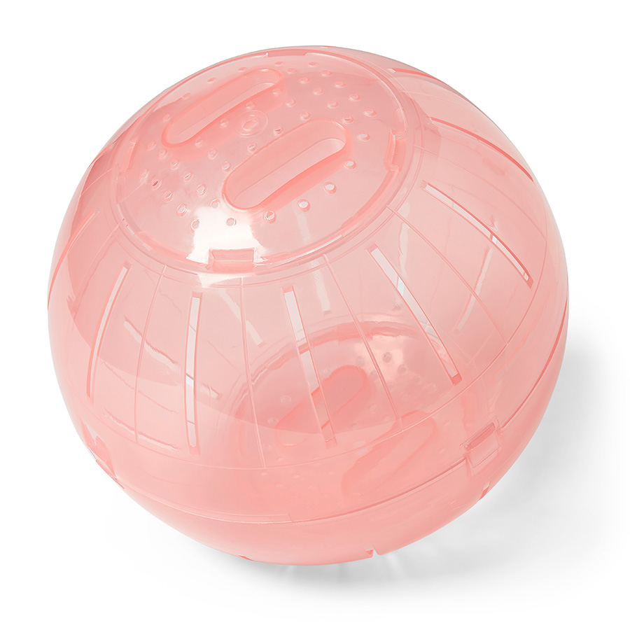 Hamster ball for dogs best sale