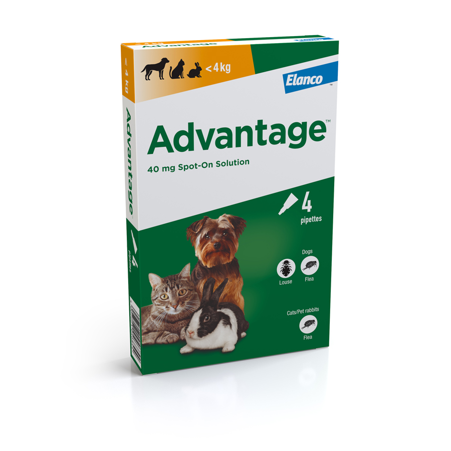 Advantage Spot-On Flea Treatment for Cats, Small Dogs & Rabbits 4 Pack