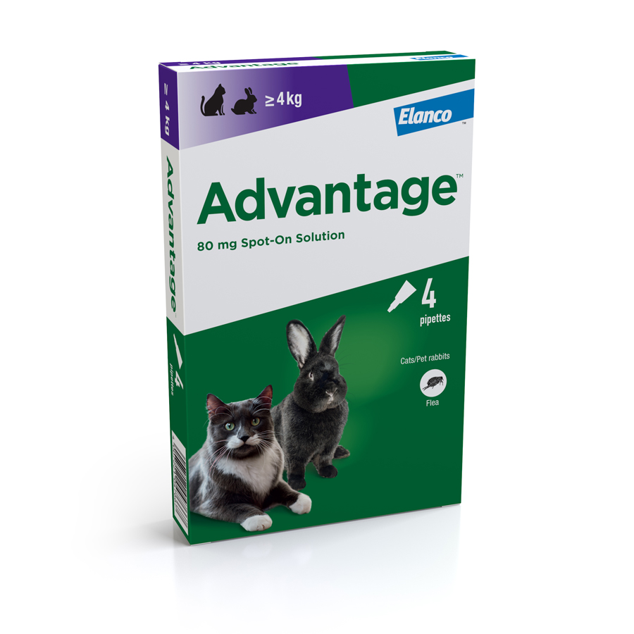 Advantage Spot-On Flea Treatment for Large Cats & Rabbits 4 Pack