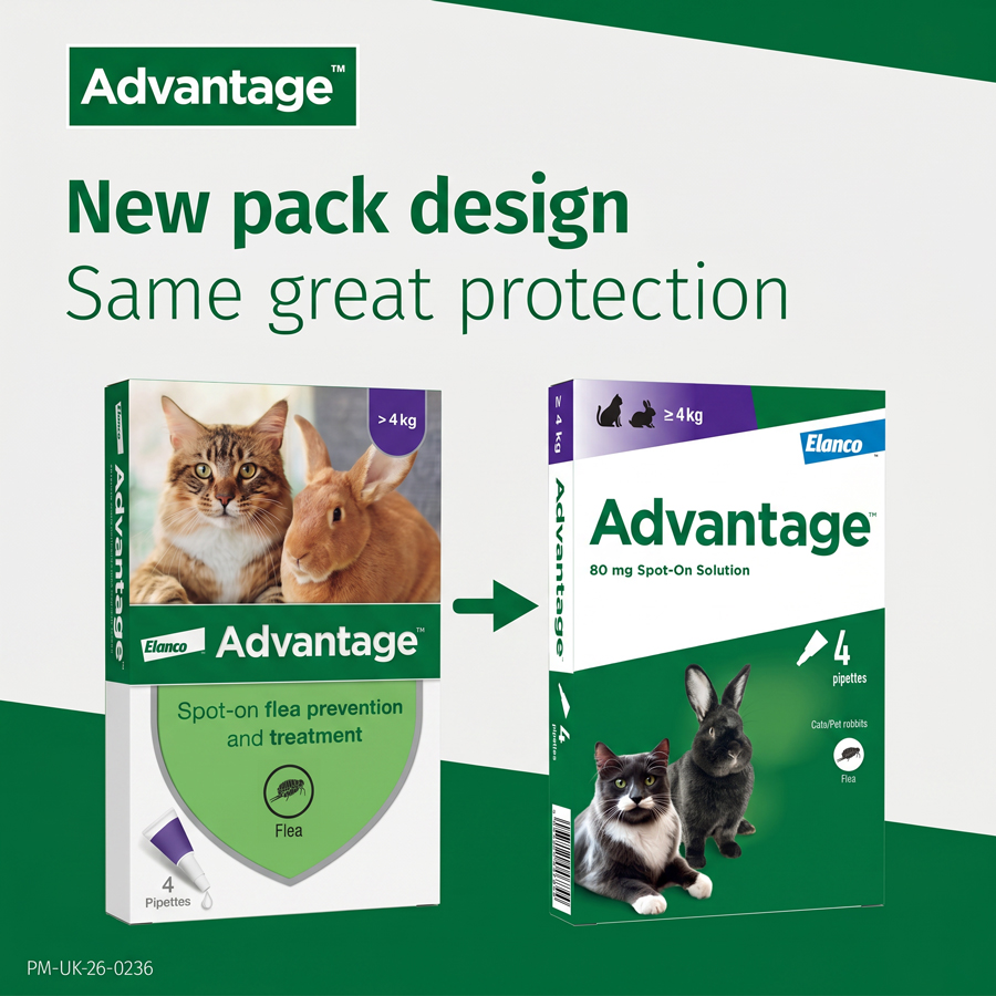 Image slide