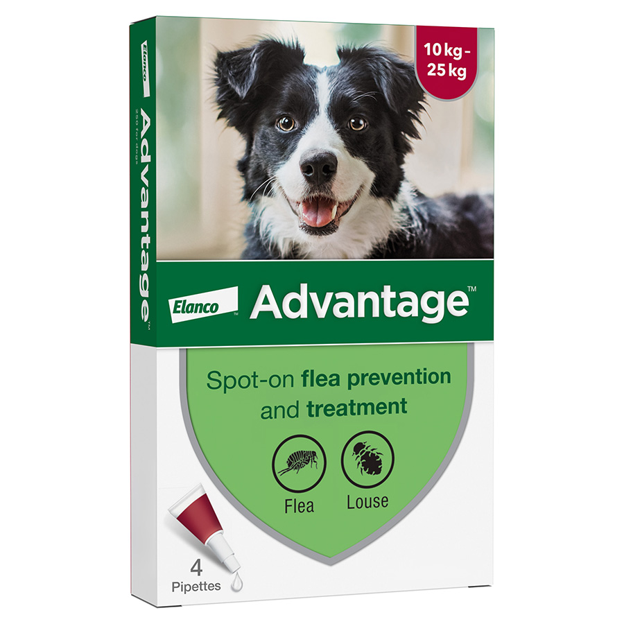 Pets at home flea treatment for dogs hotsell