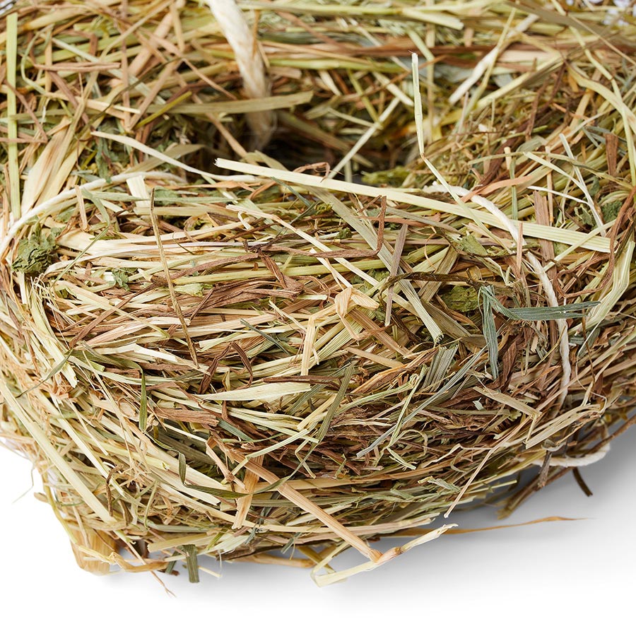 Pets at home alfalfa hay hotsell