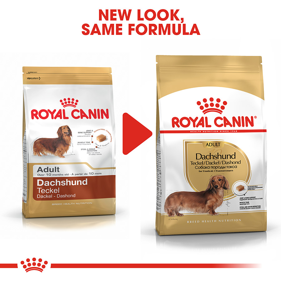 Best dry dog food for dachshunds best sale