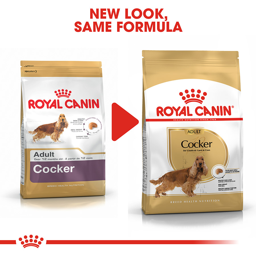 Royal Canin Cocker Adult Dry Dog Food Pets