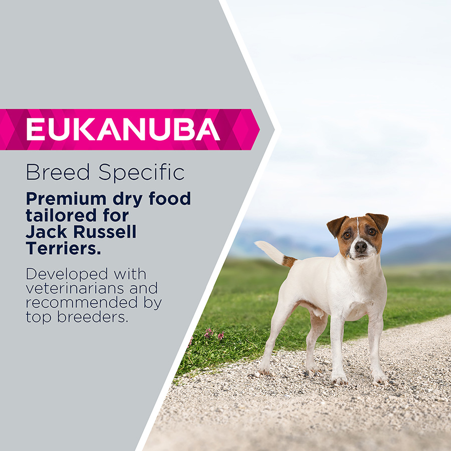 Eukanuba Jack Russell Adult Dry Dog Food Chicken Pets