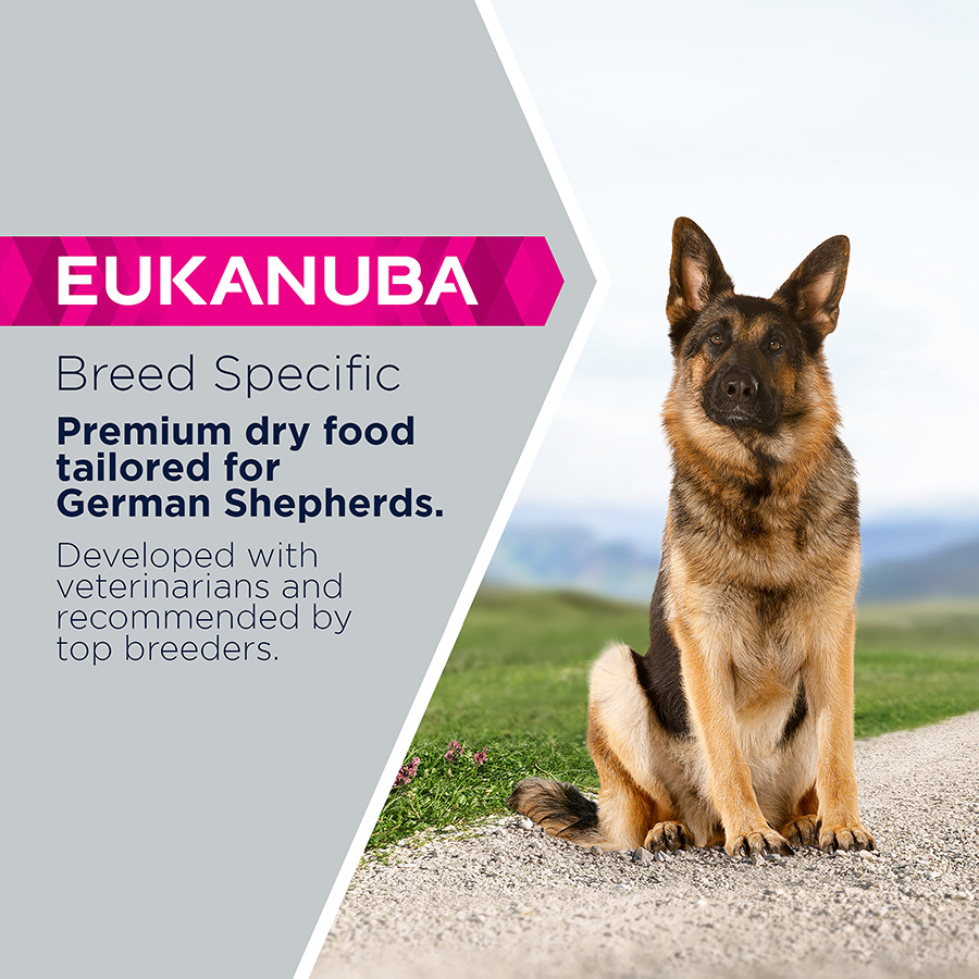 Eukanuba German Shepherd Adult Dry Dog Food Chicken Pets