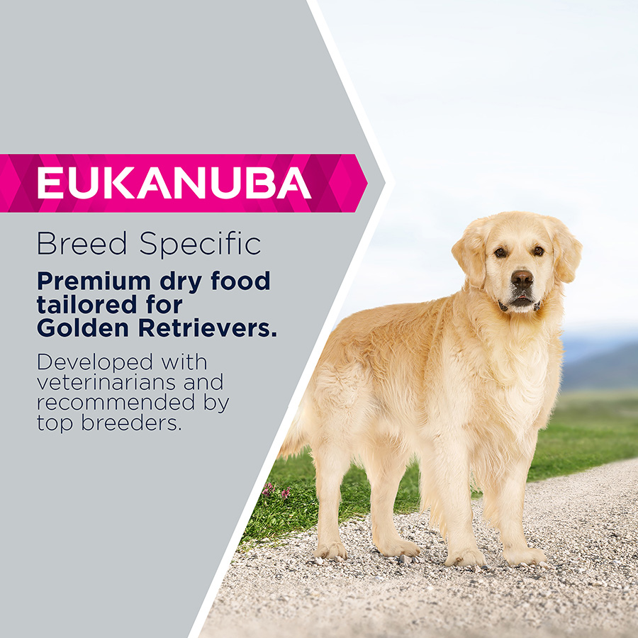 Eukanuba breed specific golden retriever best sale