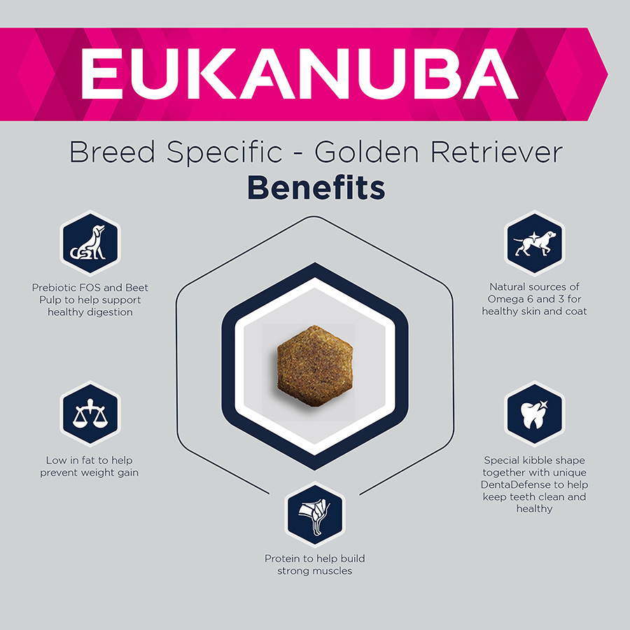 Eukanuba Golden Retriever Adult Dry Dog Food Chicken Pets