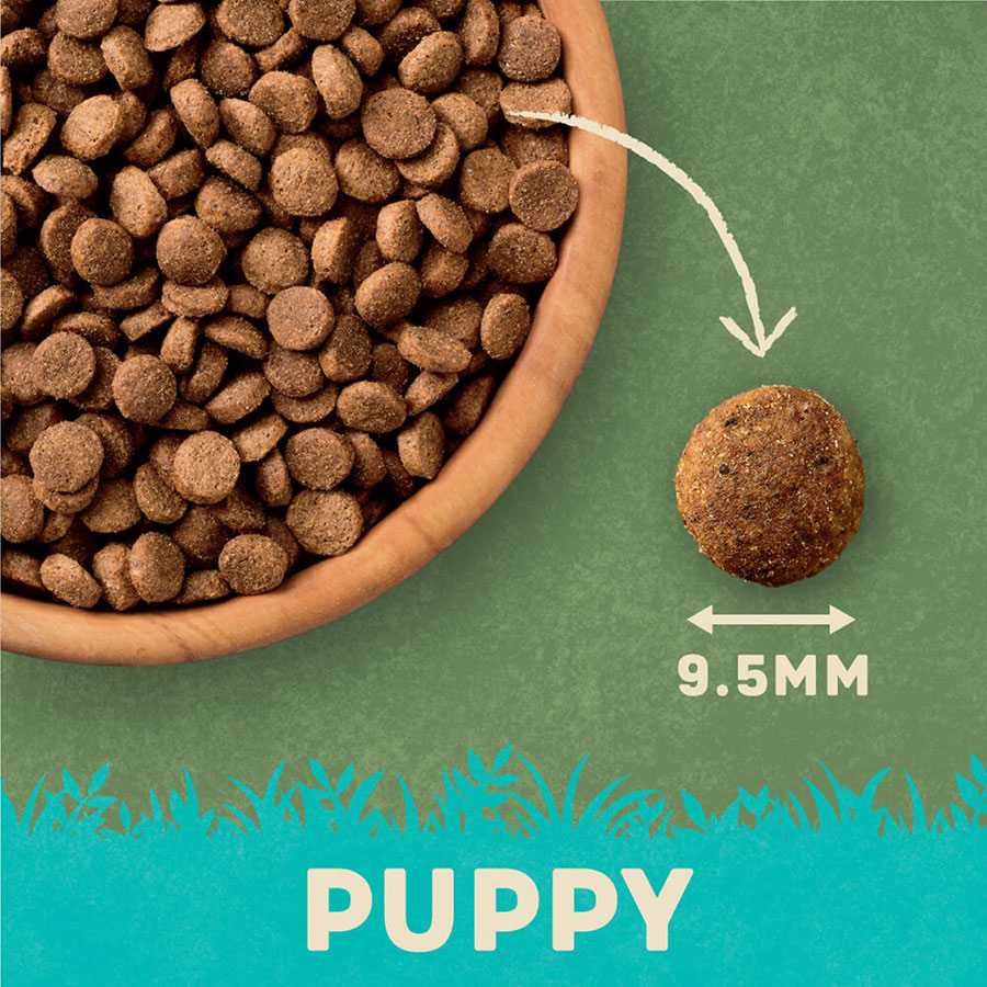 Harringtons puppy food guide hotsell