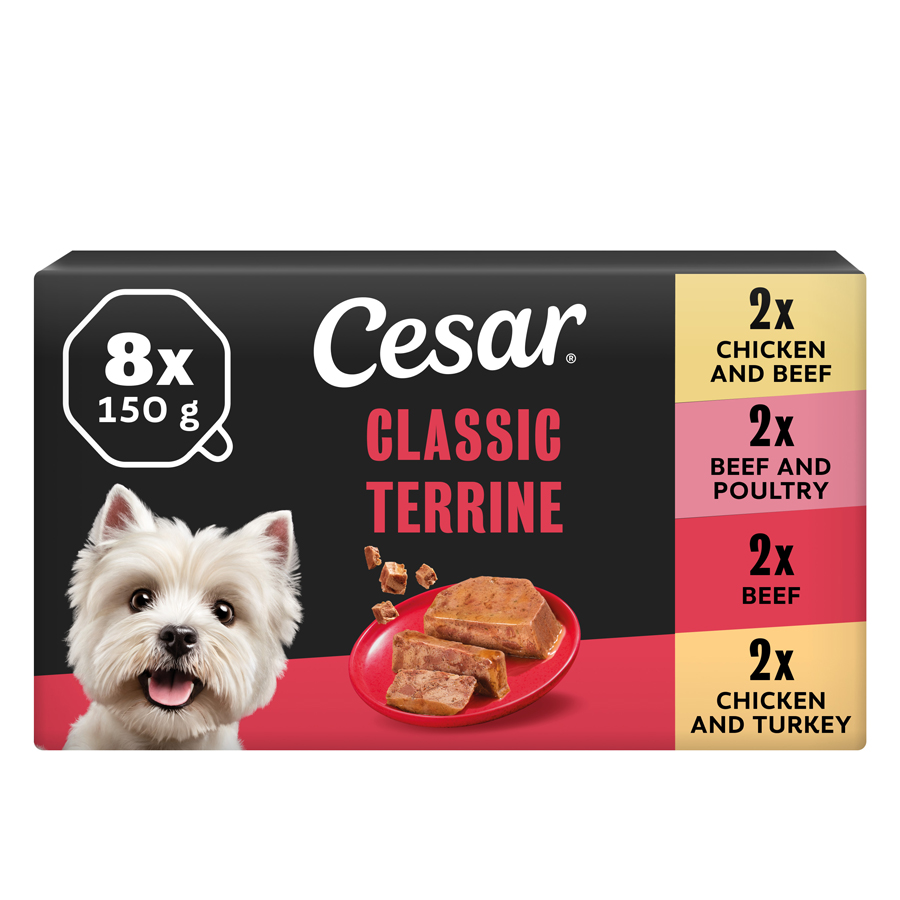 Cesar Classics Terrine Wet Adult Dog Food Mixed Loaf