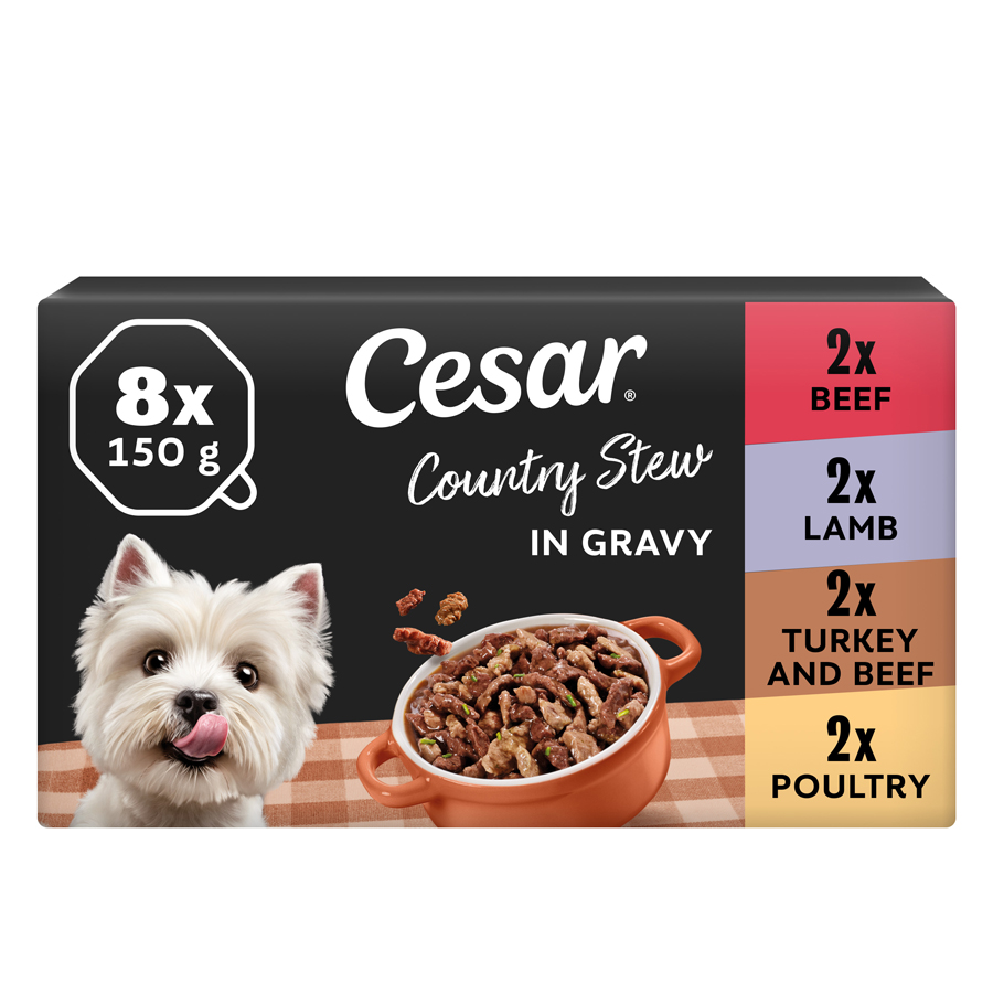 Cesar Country Stew Wet Adult Dog Food