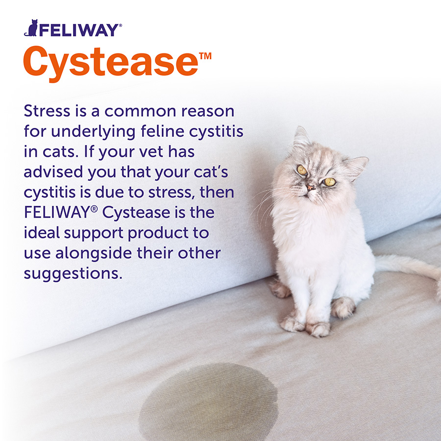 Feliway Cystease Urinary Tract Supplements Adult Cats Pets