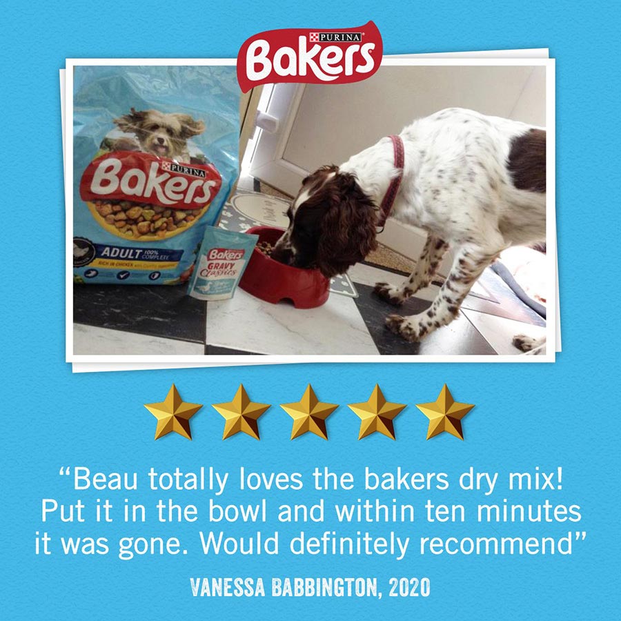 Bakers dry dog food 14kg best sale