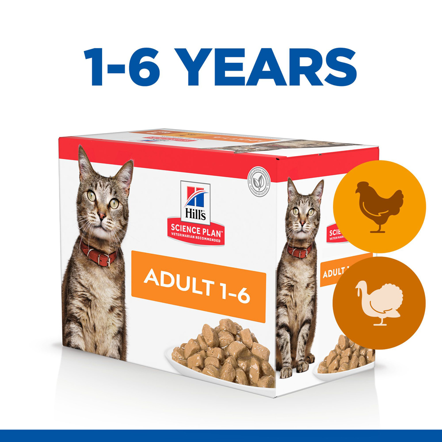 Hill's Science Plan Adult Wet Cat Food Chicken & Turkey