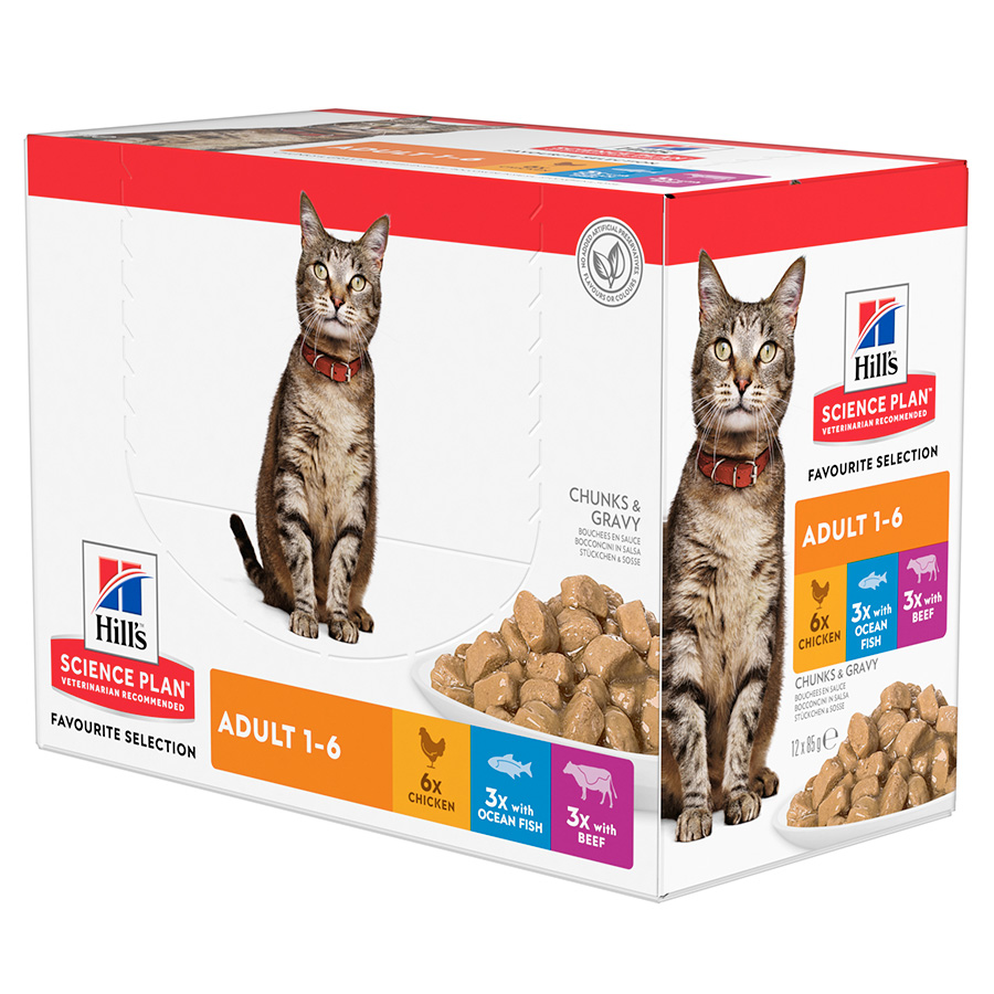 Hill s Science Plan Dog Food Cat Food Pets