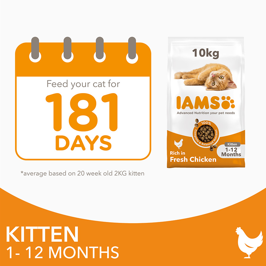 Iams kitten food 10kg best sale