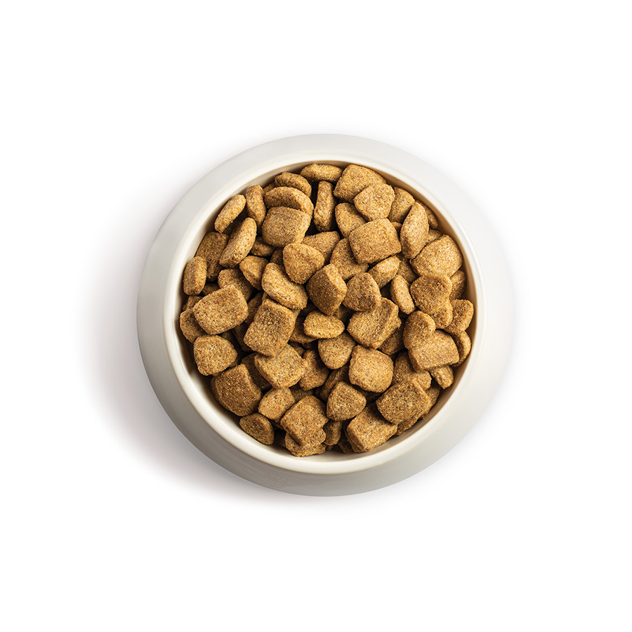 Buy chappie dog food online best sale