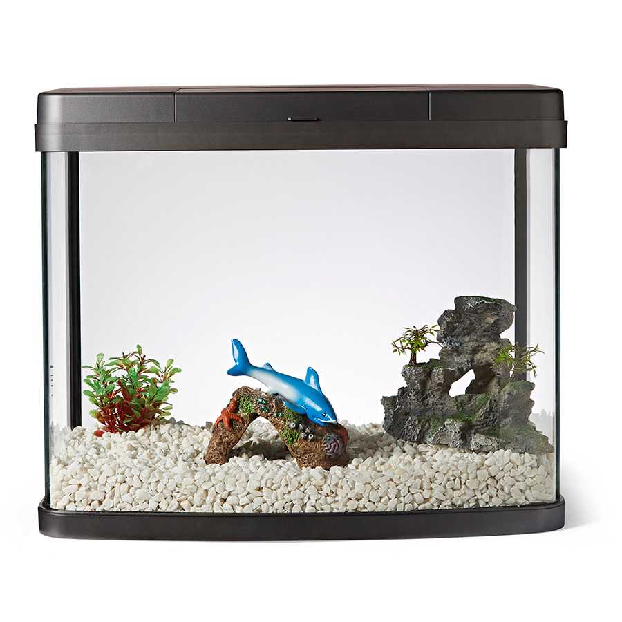 Pets at home fish tank stones hotsell