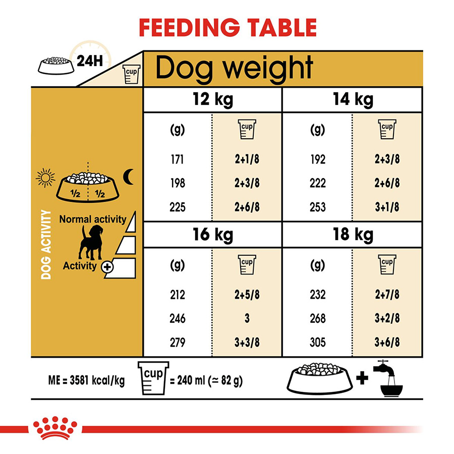 Diet for beagle puppies hotsell