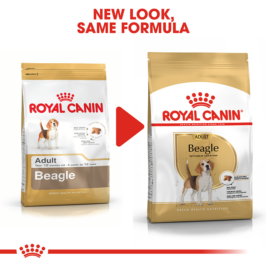 Royal Canin Beagle Adult Dry Dog Food Pets