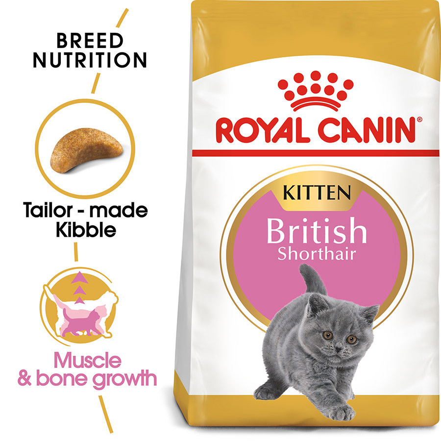 Royal Canin British Shorthair Kitten Dry Cat Food Pets