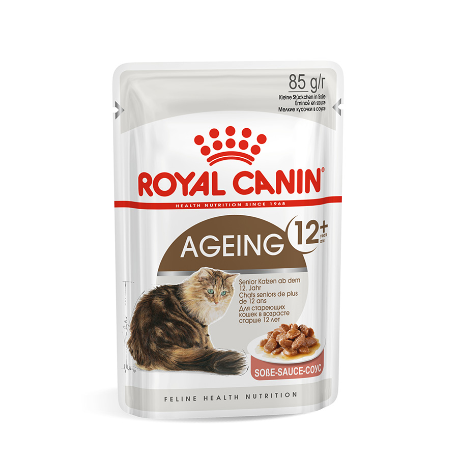 Royal Canin Feline Ageing 12 Wet Senior Cat Food In Gravy Pets