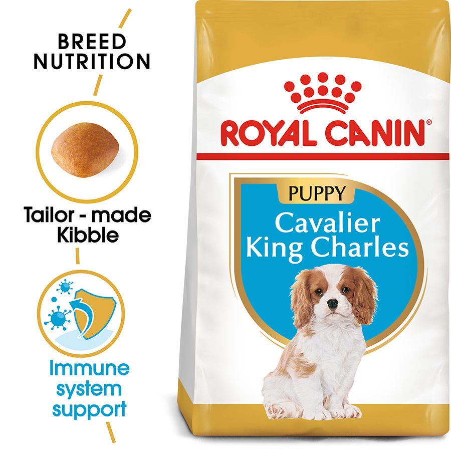 Royal Canin Cavalier King Charles Puppy Dry Dog Food Pets