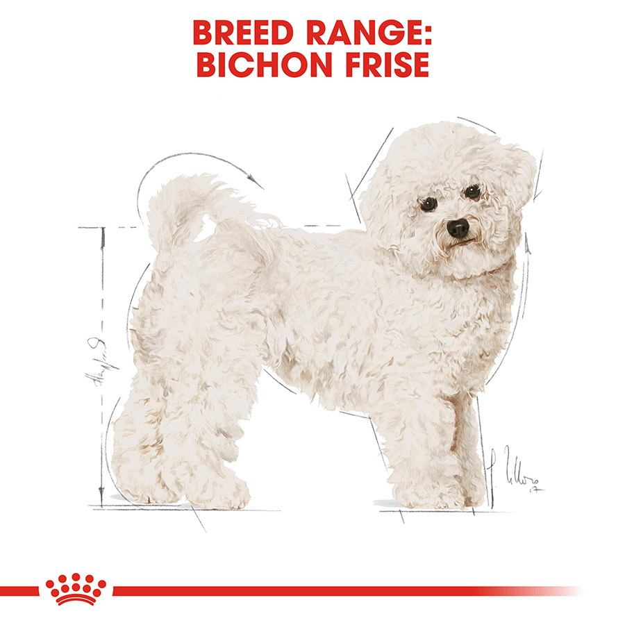 Best dog food for bichon frise best sale