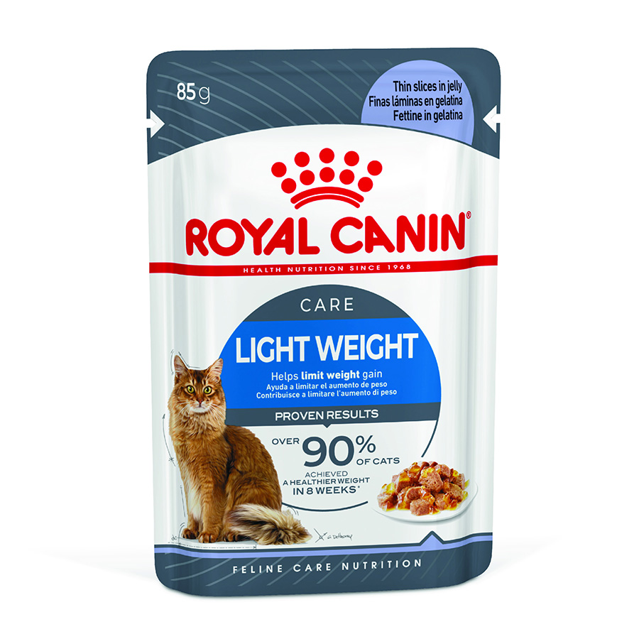 Wet fashion food for cat weight loss