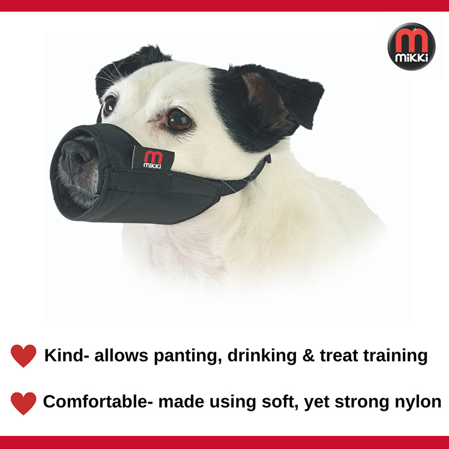 Dog muzzles at pets fashion at home