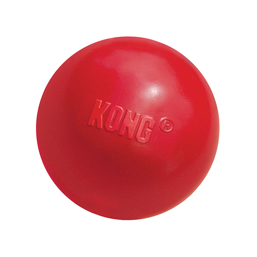 Kong Ball with Hole Dog Toy | Pets